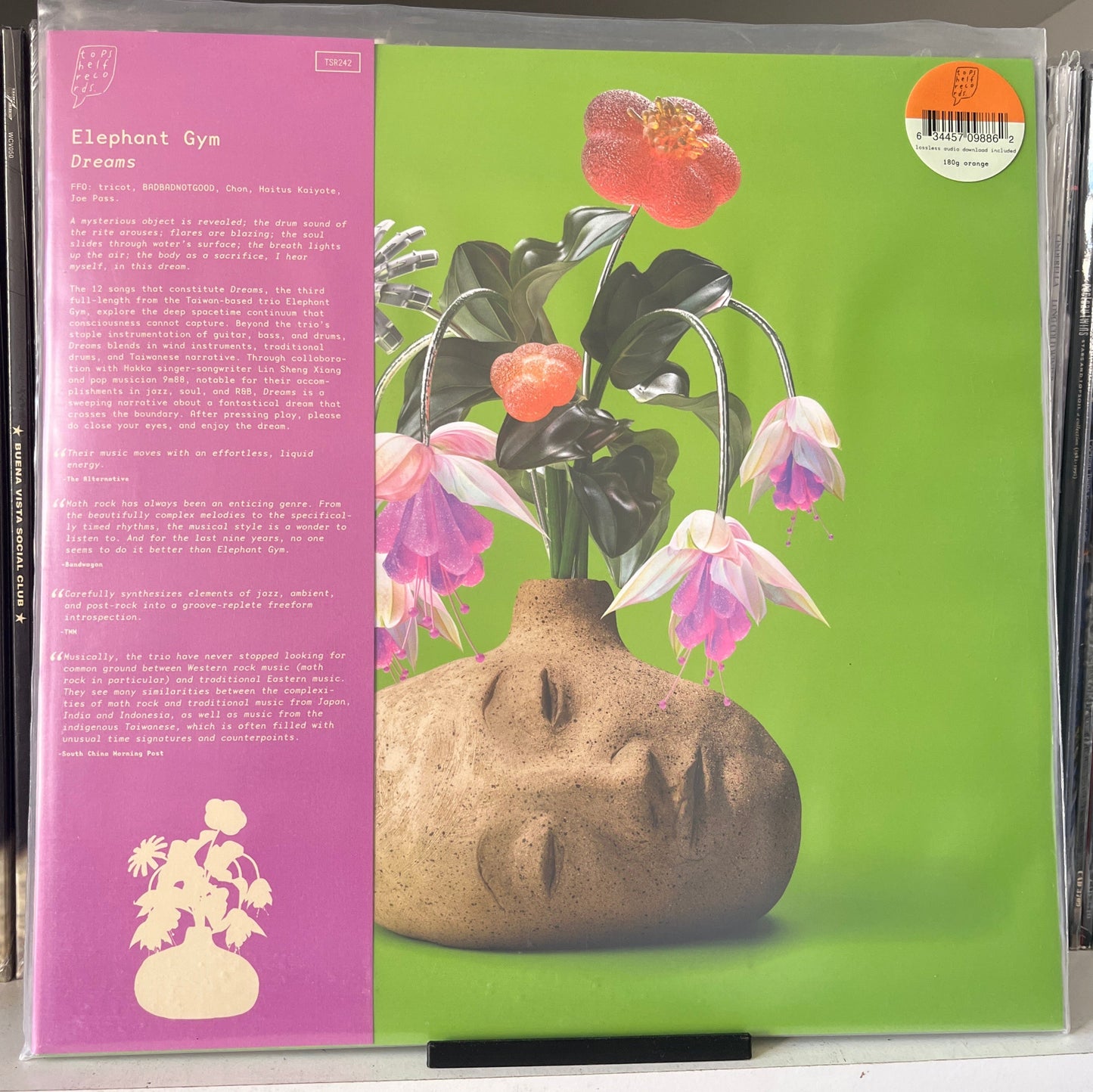 Elephant Gym – Dreams Vinilo