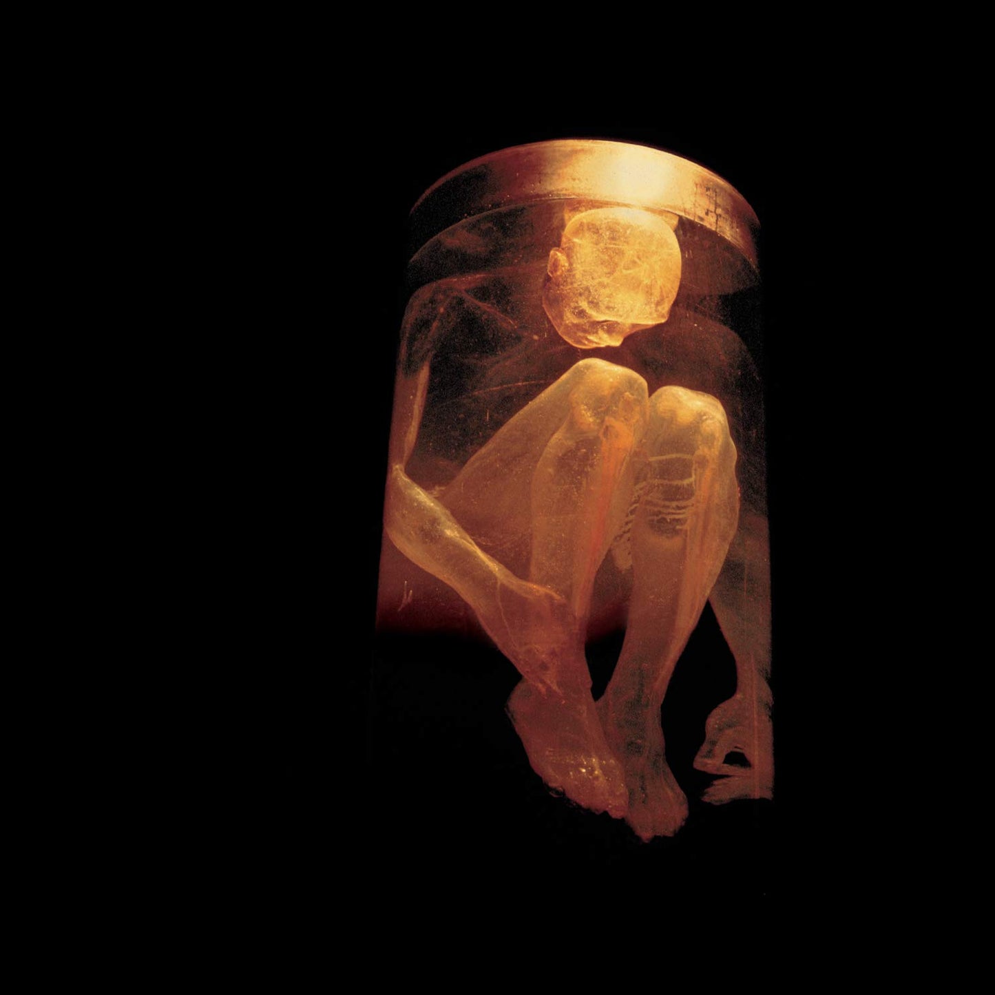 ALICE IN CHAINS - NOTHING SAFE CD