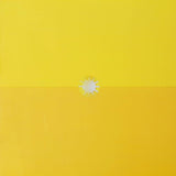 Gustavo Cerati – Amor Amarillo Vinilo