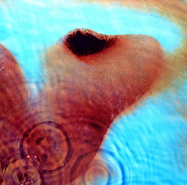 Pink Floyd – Meddle Vinilo