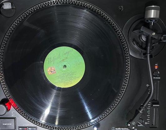Wilfrido Vargas – El Jardinero Vinilo de epoca
