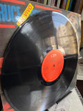 Bruce Springsteen – En Vivo  Vinilo de Epoca