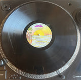 Ruben Blades – Maestra Vida (Segunda Parte) Vinilo de Epoca