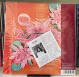 Björk – Post Vinilo Edición japones