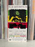 Big Mountain – Baby, I Love Your Way CD Mini