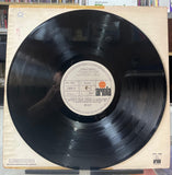 Camilo Sesto – Entre Amigos Vinilo de Epoca