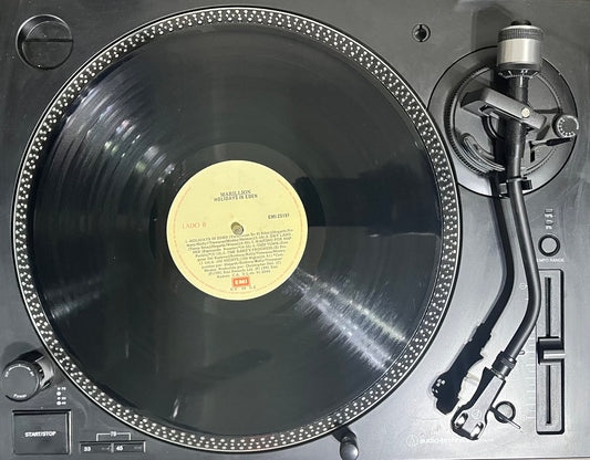 Marillion – Holidays In Eden Vinilo de época