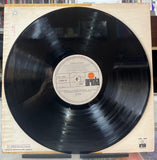 Camilo Sesto – Entre Amigos Vinilo de Epoca