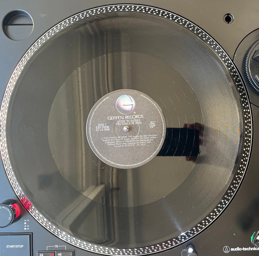 Guns N' Roses – You Could Be Mine Vinilo de Epoca