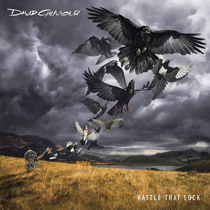 David Gilmour – Rattle That Lock Vinilo