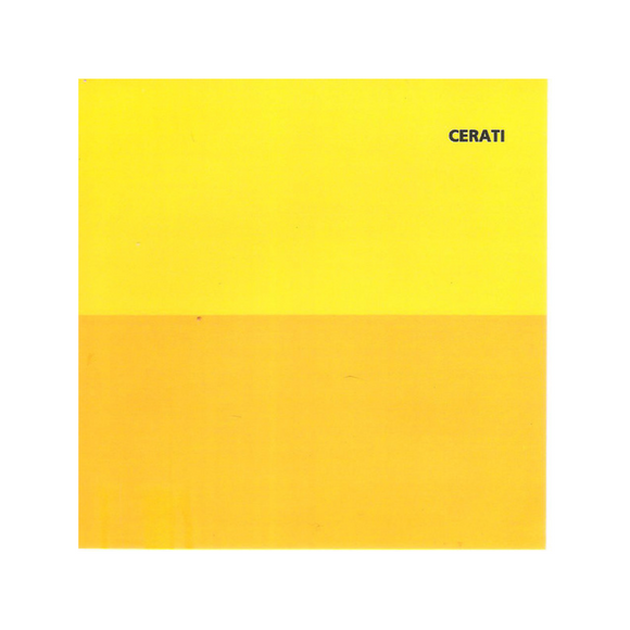 Gustavo Cerati ‎– Amor Amarillo CD