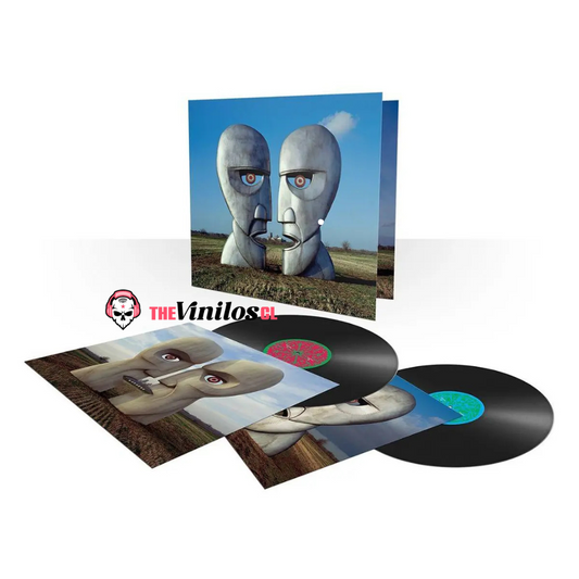 Pink Floyd ‎– The Division Bell Vinilo