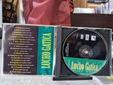Luis gatica