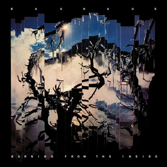 Bauhaus – Burning From The Inside Vinilo