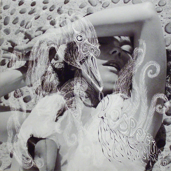 Björk – Vespertine Vinilo