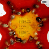 Blind Melon ‎– Blind Melon Vinilo