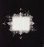 Tool – Ænima Vinilo